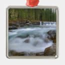 Search for rocky mountain ornaments Outdoors