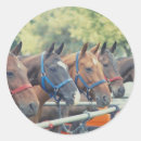 Search for polo pony stickers Horse