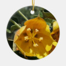 Search for olive trees ornaments Flowers