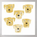 Recherche de chiot golden retriever posters Chien