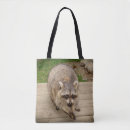Recherche de raton sacs Mammifère