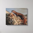 Search for study canvas prints Wildlife