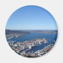 Search for bergen magnets View