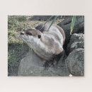 Search for cute otter puzzles Wild animals