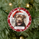 Search for staffordshire bull terrier ornaments Cute