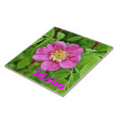Search for flora tiles Plants