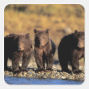 Search for public land stickers Animal