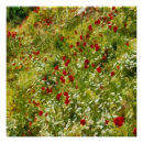 Search for poppy art Flower
