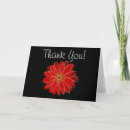 Search for gerber daisy Black