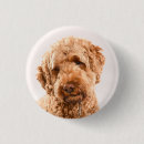 Search for studios buttons Cute