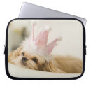 Search for three laptop cases Photography