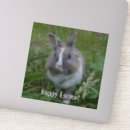 Search for large mammal stickers Nature