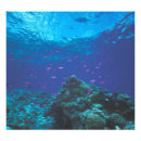 Search for coral reef art Deep blue
