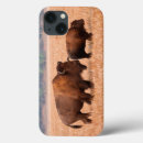 Search for bison cases Bull