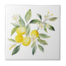 Search for lemon tiles Watercolor