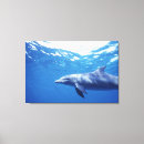 Search for habitat canvas prints Mexico