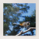 Search for nature puzzles Cool