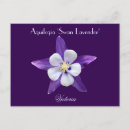 Search for columbine flowers postcards Lavender