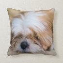Search for shih tzu pillows Puppy