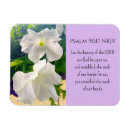 Recherche de pétunia maison deco Violet