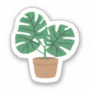 Recherche de monstera autocollants Plante
