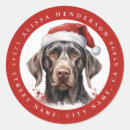 Search for german shorthaired pointer stickers Puppy