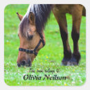 Recherche de fjords autocollants Norvégien