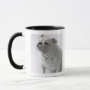 Search for dog shot mugs Full length