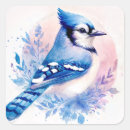 Search for blue jay bird stickers Birdwatching