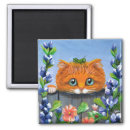 Search for funny magnets cat