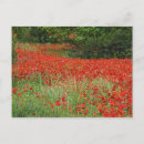 Recherche de hybride cartes postales Fleur