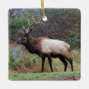 Recherche de elk ornements Faune