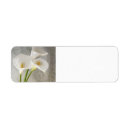 Search for white calla lily return address labels Beautiful