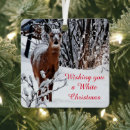 Search for whitetail deer ornaments Nature