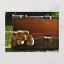 Search for bear cat postcards Kittens