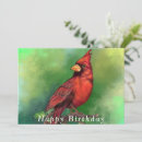 Search for red cardinals cards Green