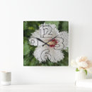 Search for puzzle clocks Background