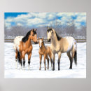 Recherche de poulain de cheval posters Mare