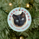 Search for cat in frame ornaments First christmas