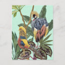 Search for tropical greenery postcards Birds