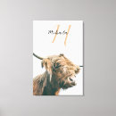 Search for highland cattle canvas prints Hairy