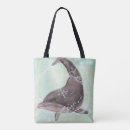 Search for splashing water bags Dolphin