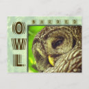 Search for barring postcards Owls