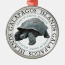 Search for tortoise ornaments Ecuador