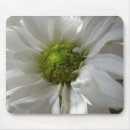 Search for chrysanthemums mousepads Floral