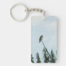 Search for ospreys keychains Wildlife