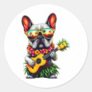Search for ukuleles stickers Lets go brandon