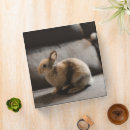 Search for dwarf binders Rabbit
