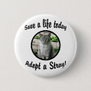 Search for stray buttons Cats