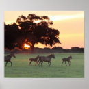 Recherche de horsie art Poney
